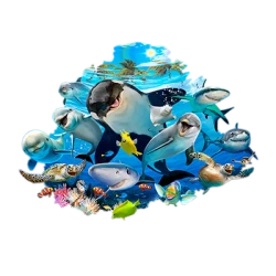 OCEAN SELFIE T-SHIRT