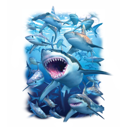 SHARK HUNTING CLUB T-SHIRT