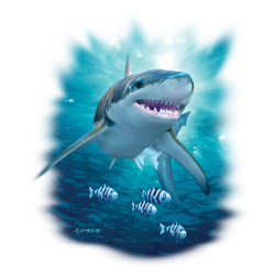 HUNTING SHARK T-SHIRT