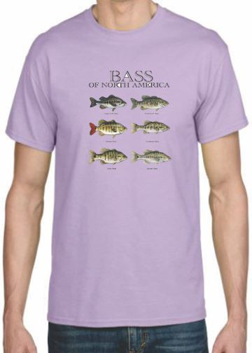 BASS COMBO  T-SHIRT