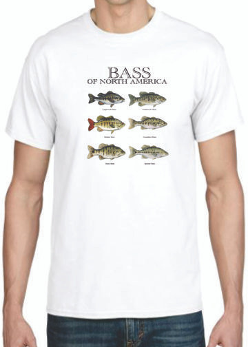 BASS COMBO  T-SHIRT