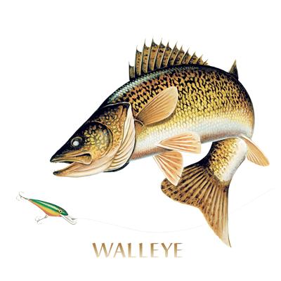 WALLEYE  2 JUMPIN F ISH T-SHIRT