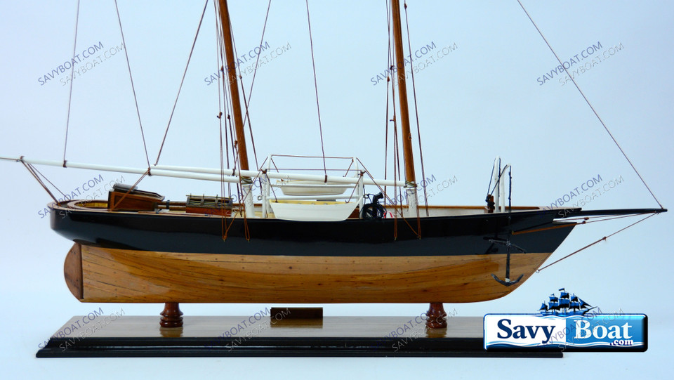 America Sailboat SAVY LOGO