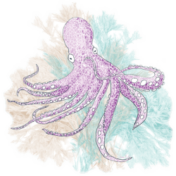 OCTOPUS PURPLE  ADULT T-SHIRT