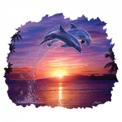 DOLPHIN LEAP OF FAITH II T-SHIRT