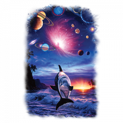 DOLPHIN ETERNITY COSMOS T-SHIRT