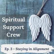 Podcast Episode 3 - Staying in Alignment