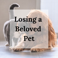 Losing a Beloved Pet