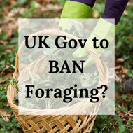 UK Gov to Outlaw Foraging