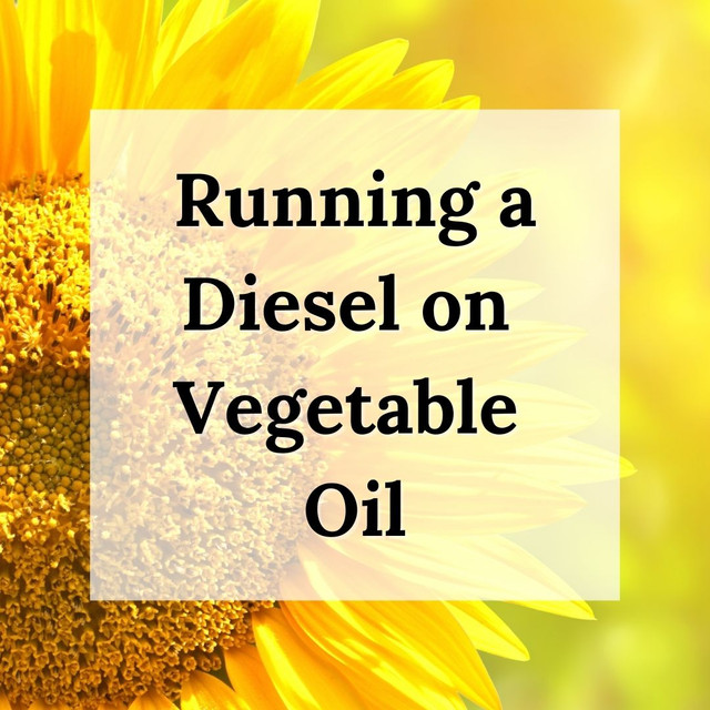 Running a Diesel Car on Vegetable Oil My Experience Angel Wings