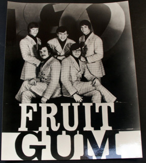 1910 Fruitgum Company Photo Official Pictorial Press Promotion Circa Late 60s front