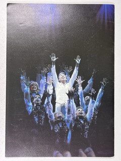 Tommy Steele What A Show Programme Original Concert Souvenir 2003