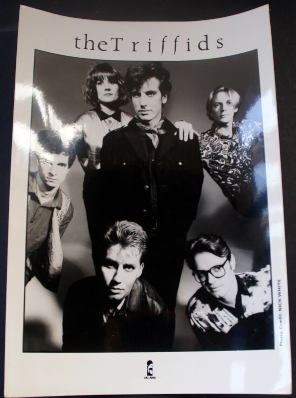 The Triffids Photo Island Records Original Promo Circa Early 1980s front