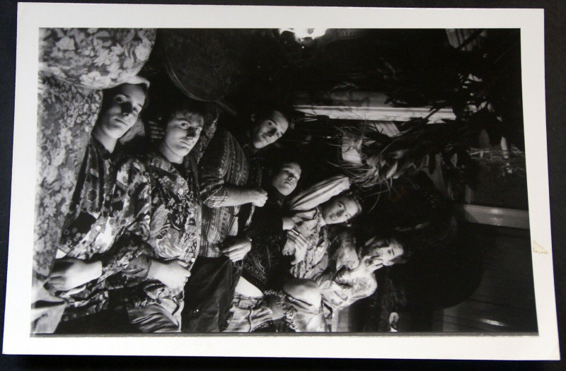 Moonflowers Photograph Original Vintage 6 X 4 B/W Circa Early 1990s Front