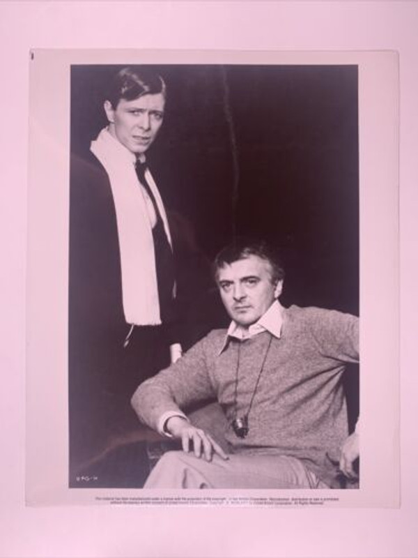 David Bowie Ziggy Photo Original Vintage Just a Gigolo United Artists Promo 1978 front