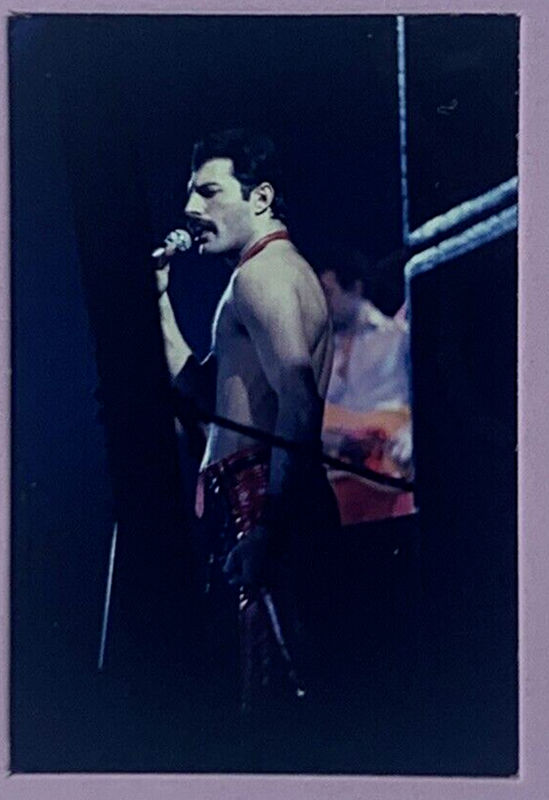 Queen Freddie Mercury Transparency Orig Slide Freddie Live on Stage Early 1980s Detailed