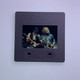 Status Quo Transparency Positive Photographic Slide Original Promo front