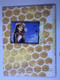 Tori Amos Programme Official The Beekeeper Summer of Sin Tour 2005 back