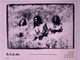 B.L.O.W Photo Original Walkerprint Black And White Promo Circa Mid 1990s front