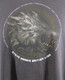 Iron Maiden Steve Harris British Lion Shirt Official Album Promo 2012