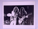 Lynyrd Skynyrd Collins Rossington Photo Promo Official Vintage Original 1976 Front