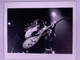 Lynyrd Skynyrd Gary Rossington Photo Promo Official Vintage Original 1976 Front