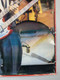 Led Zeppelin Jimmy Page Poster Original Vintage Big O Printed in England 1978