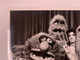Muppets Miss Piggy Alice Cooper Photo Orig The Muppets Halloween Special 1978 #2