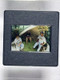 De La Soul Photo Transparency Original 35mm Positive Slide Promo Circa 1990s