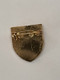 Queen Official International Fan Club Convention Badge Original May 2003