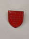 Queen Official International Fan Club Convention Badge Original March 2009