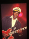 Chuck Berry Photo Transparency