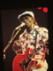 Chuck Berry Photo Transparency