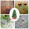 Christmas Tree Stand Carpeted Floor Protector Mat | Rigid Polycarbonate Festive Carpet Protector Mat for Under Christmas Trees | Waterproof Christmas Tree Mat | Clear | Nonagon Shape | 96 x 98cm 