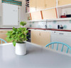 Hometex Biosafe Large Anti-Microbial PVC Multi-Purpose Table and Surface Protector Mat | Rectangular | Multiple Sizes HMTP