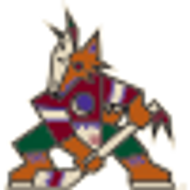 Arizona Coyotes