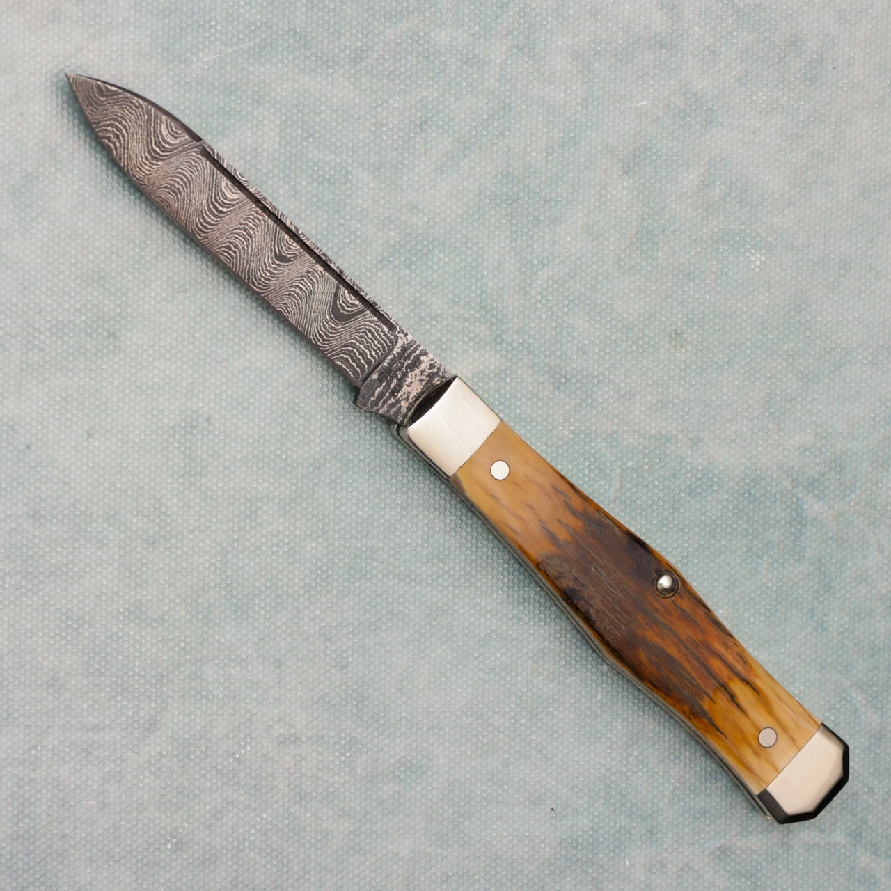 テミカツ Titusville Cutlery Co Lexingtonian Genuine Mammoth Bark Ivory