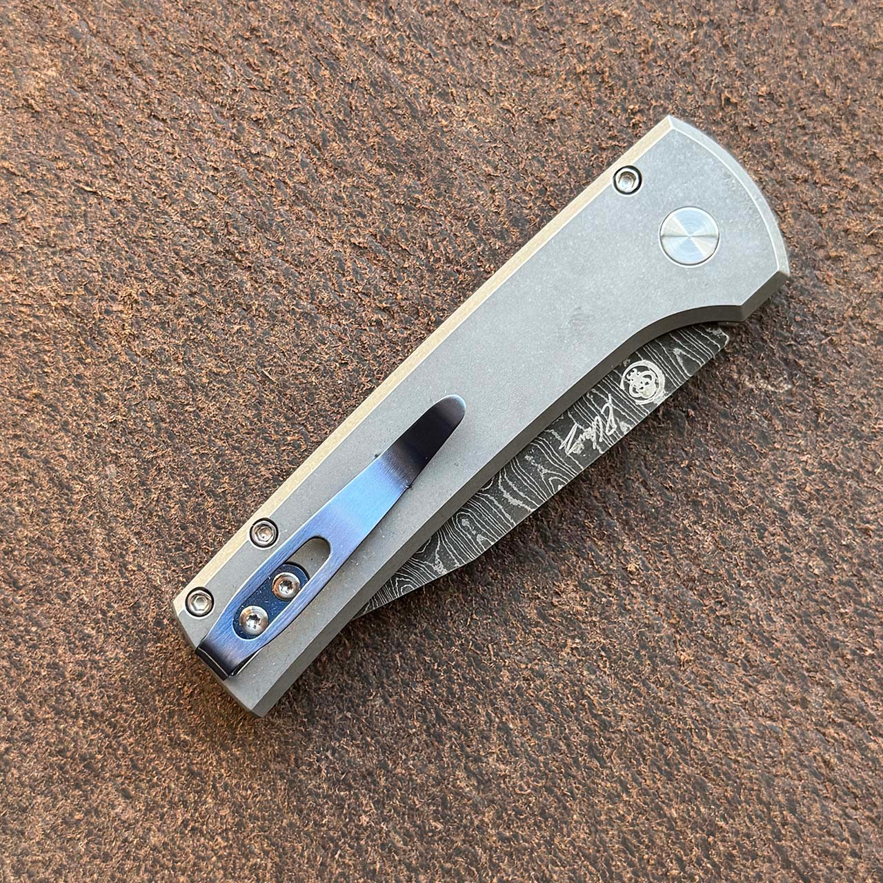 Pro-Tech Chaves Scapegoat Compact Blasted/Stonewashed 17-4 Steel