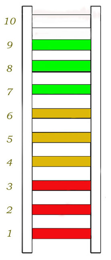 American Edge Condition Grading System