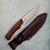 Buck 663 Alpha Guide Pro Fixed Blade Walnut Dymalux Handle Satin CPM-S35VN Blade 13623