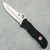 Spyderco Terzuola Starmate Liner Lock Black G10 Handle Satin 20CV Blade Sprint Run C55G20CVP