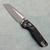 Microtech MSI Mini RAM-LOK Frag Black Aluminum Handle Apocalyptic Standard 210M-10APFR