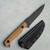 Toor Knives Krypteia S Fixed Blade FDE G10 Handle Black M4 Blade