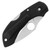 Spyderco Dragonfly Clipit Black FRN SpyderEdge C28SBK