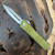 Microtech Combat Troodon D/E OD Green Satin Standard 142-4OD