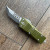 Microtech Mini Troodon Hellhound OD Green Stonewash Standard Signature Series 819-10ODS