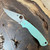 Spyderco Paramilitary 2 Compression Lock Teal G-10 Handle Satin S90V Blade MGE Exclusive C81GPTL2