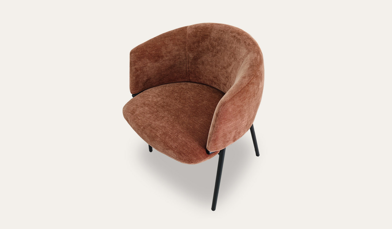 Mila dining chair with soft upholstery, curved wraparound backrest and slim black metal legs, designed for modern dining spaces.