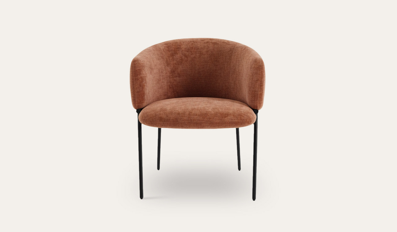 Mila dining chair with soft upholstery, curved wraparound backrest and slim black metal legs, designed for modern dining spaces.