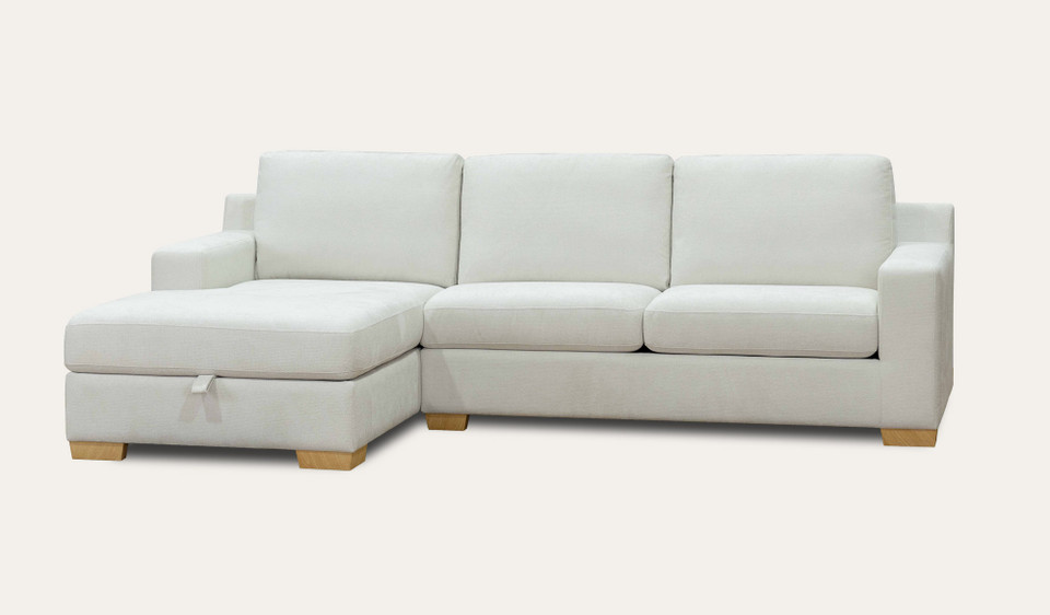 Jackson chaise lounge with storage + sofa bed
